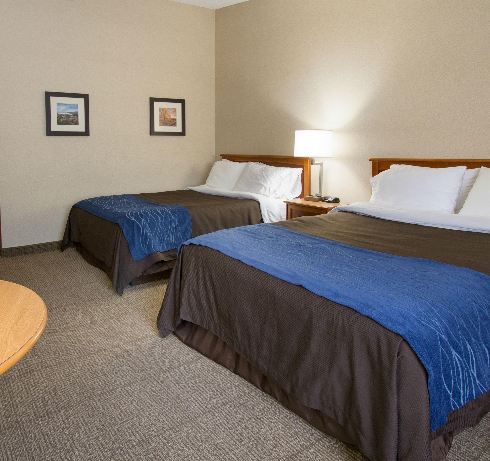 Comfort Inn & Suites Syracuse-Carrier Circle Восток Сиракьюс Экстерьер фото